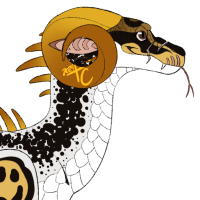 Thumbnail for PTH-1176